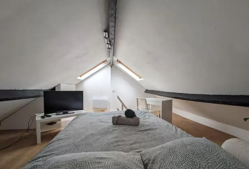 Lille Moulin, Duplex Lumineux 4P Apartment 0*,  France