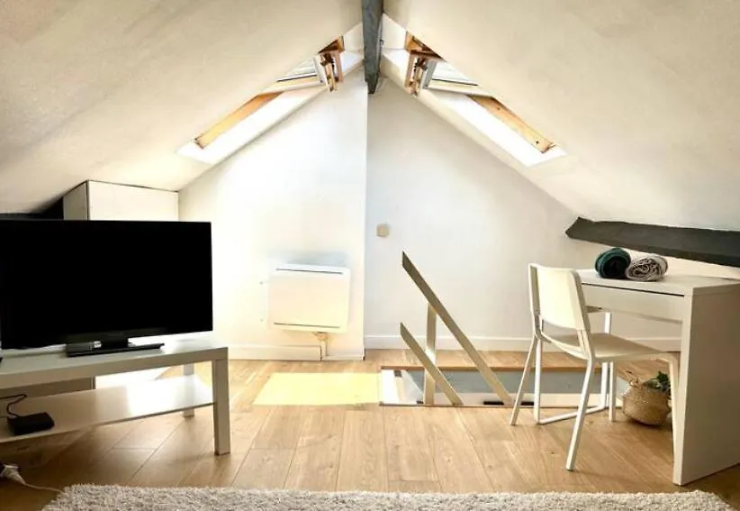 Lille Moulin, Duplex Lumineux 4P Apartment