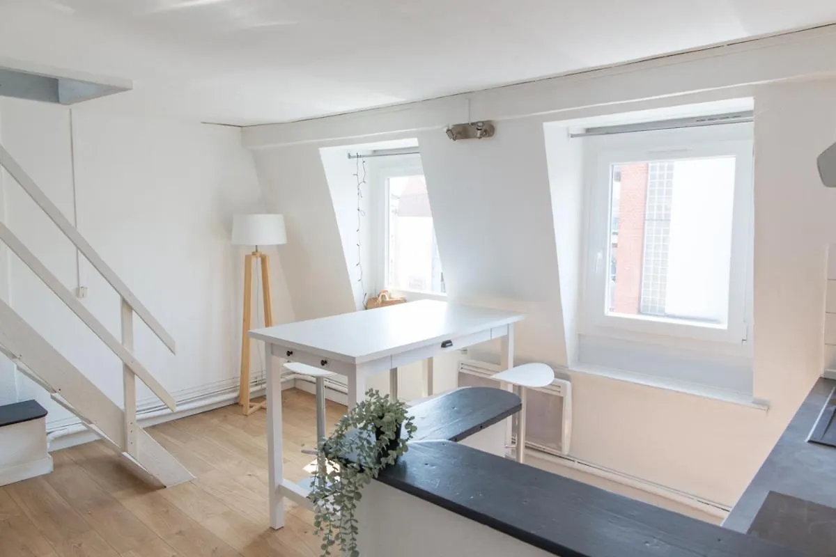 Lille Moulin, Duplex Lumineux 4P Apartment