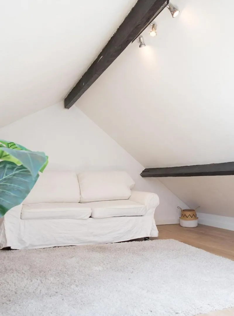 Lille Moulin, Duplex Lumineux 4P Apartment