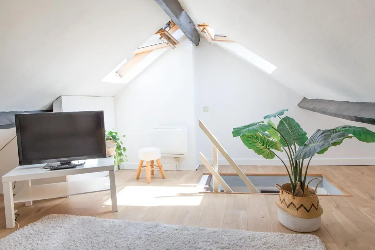 Lille Moulin, Duplex Lumineux 4P location